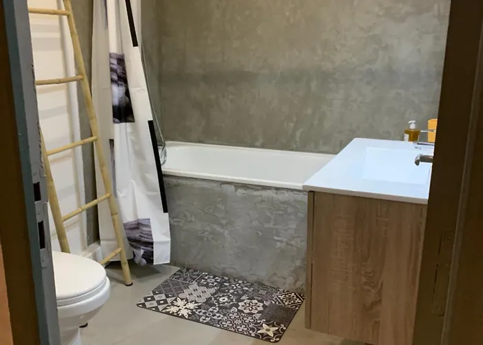 Appartement Joli T2 Avec Grande Terrasse Centre *