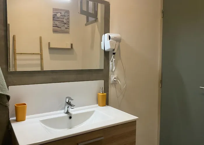 Joli T2 Avec Grande Terrasse Centre *