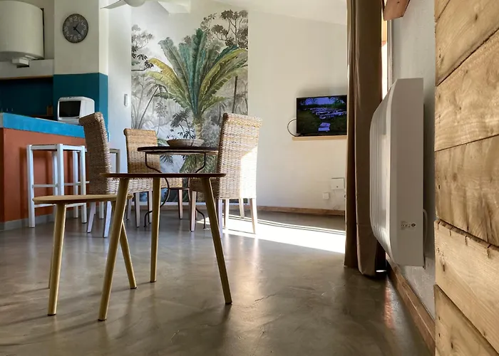 Joli T2 Avec Grande Terrasse Centre *